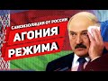 НОВЫЙ КАБМИН ЛУКАШЕНКО - «Хунта» или новые реформаторы?