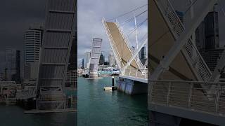 Auckland 🇳🇿  Lowering the bridge 🌉