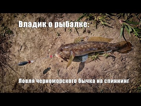 Владик о рыбалке: