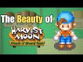 The Beauty Of Harvest Moon: Friends Of Mineral Town