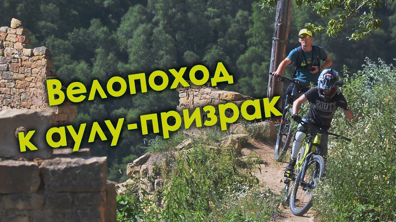 Гамсутль на машине