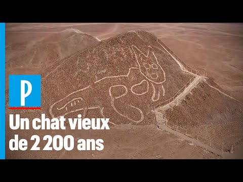 Vidéo: Nouveaux Dessins Dans Le Désert De Nazca - Vue Alternative
