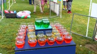 Fish Bowl Carnival Game