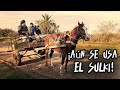 ¡Es MARAVILLOSO!: Aquí aún se ve &quot;EL SULKI&quot; por las calles | Camino RURAL hasta SAN RAMÓN