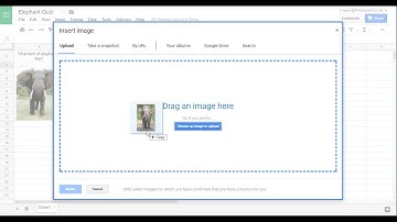 Spreadsheet Quiz 1 1 setup