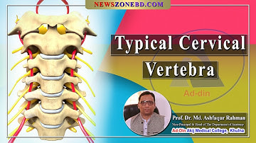 Typical Cervical Vertebra II Prof. Dr. Md. Ashfaqur Rahman II Anatomy II AAMC II Online Class II