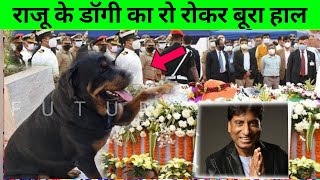 ?Raju Srivastava Dog Heart Touching Video | Raju Srivastava Last Video will make you Emotional