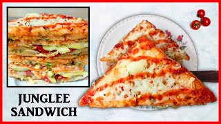 Junglee Sandwich | Kitchen of Pooja