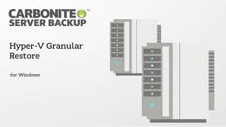 Hyper-V Granular Restore - Carbonite Server Backup screenshot 3