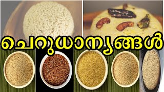 വയതയസത ചറധനയങങൾ Varieties Of Millets Millets Malayalam