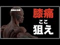 【膝治療】膝痛はここを狙え！