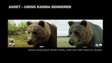 Wet Bear - Rendering Wet Animals with Karma XPU | Crater Studio | Tokyo HIVE 2025