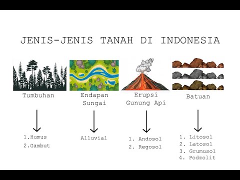 Video: Apa saja jenis tanah yang terdapat di Indonesia?