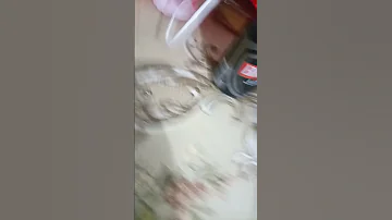 كوكب تاريخ نهاية 