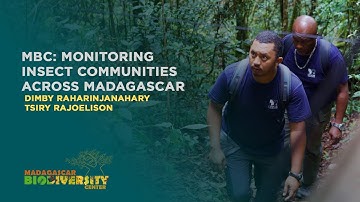Developing a future monitoring program for Malagasy biodiversity​