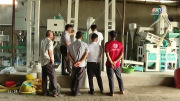 Hợp tác xã nông nghiệp chú trọng xây dựng chuỗi liên kết sản xuất, tiêu thụ | BRTgo