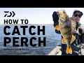 How to catch perch with martin rees