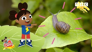 Things you find in the Garden | Yakka Dee!