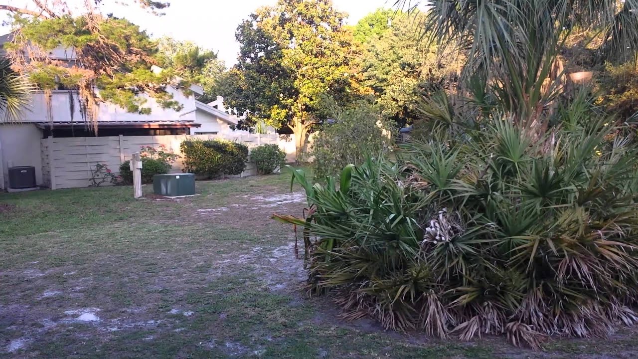 Clearwater Florida Condo 2 beds 90k, Winding Woods YouTube