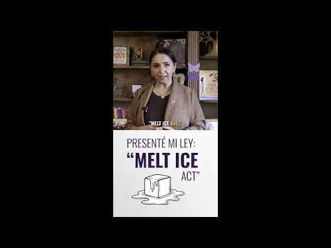 La Ley Melt ICE explicada (con Rep. Delia Ramirez)