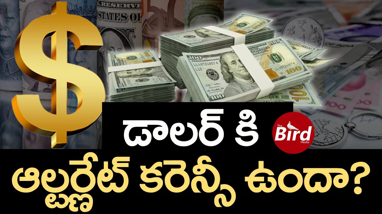 డాలర్ కి ఆల్టర్ణేట్ కరెన్సీ ఉందా ? | Is There An Alternative Currency To The Dollar? | Bird Media |