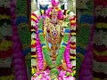 muruga 🙏 🙏 🙏#murugar #murugan #devotionalsongs #motivation #devotional #motivational #god #song #om