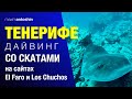 Тенерифе. Дайвинг со скатами на сайтах Эль Фаро (El Faro) и Лос Чучос  (Los Chuchos)