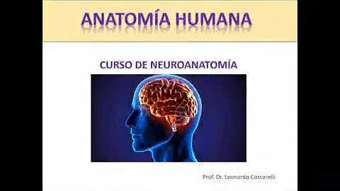 Video promocional de neuro
