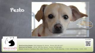Details MaxFund11042015 by PeopleHelpingPets News