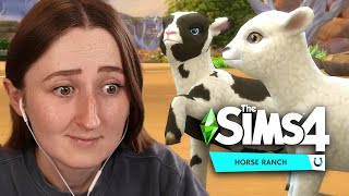 Can SHEEP get you rich in The Sims 4
