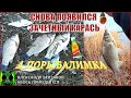 А порыбалимка 4/21г. Снова появился зачетный карась.