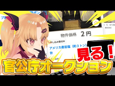 【官公庁オークション】超お得！岩塩3トン2円！急いで買え！他【#赤月ゆに/ライヴラリ】