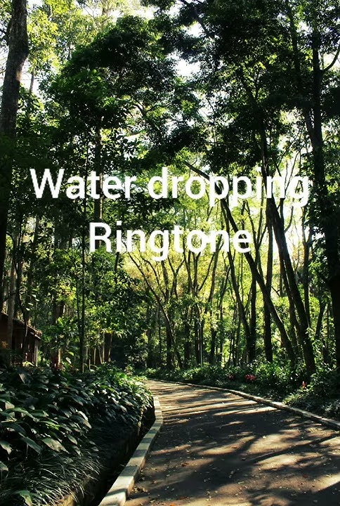 Water dropping ringtone......mp3