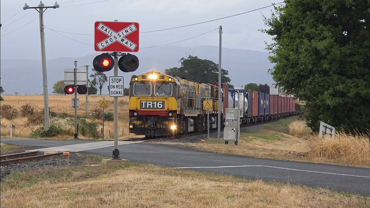 TasRail TR16 TR15 #31 train crossing Bishopsbourne Road