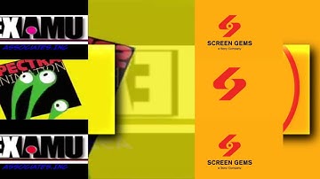 15 Shuric Scans with are slides