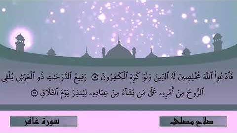 سورة غافر   القارئ صلاح مصلي