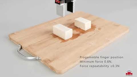 DH Robotics production line