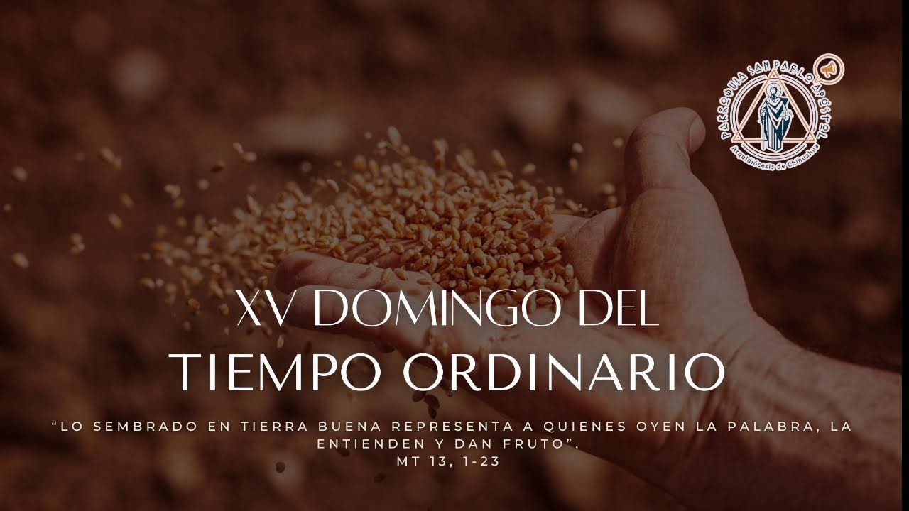 XV Domingo del Tiempo Ordinario. 12 de julio 2026. Santa Misa 11:00 a.m.