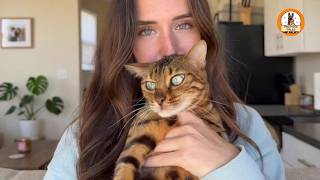 My Cat Understood Every Word I Said…Then She Saved Me From the Wrong Man