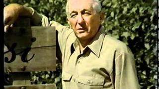 Famous Carlo Rossi Vineyards ad Wealth