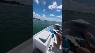 Mariner/yamaha 2stroke rippin thru the bay #2stroke #miami #outboards