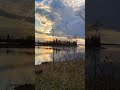 Living in a painting 🖼️