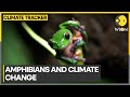 Amphibians are threatened due to climate change, habitat loss | WION Climate Tracker