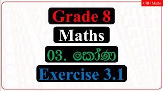Cbh Maths Grade 8 Exercise 31