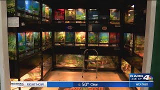 Cabot man steals python from pet store