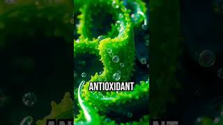 Unlock the secret of Ogopogo! #health #wellness #brainboost