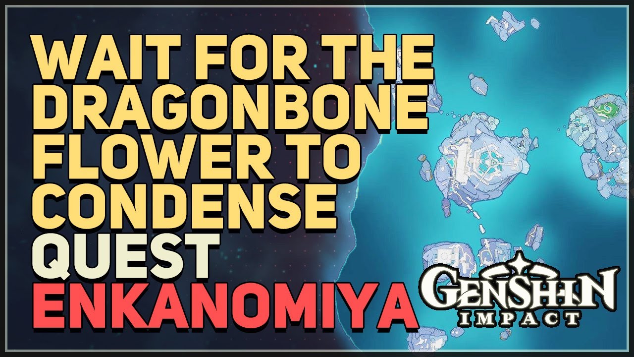 Wait for the Dragonbone Flower to condense Genshin Impact