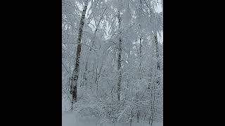Russian Winter Fairytale, #shorts, #russia, #snow