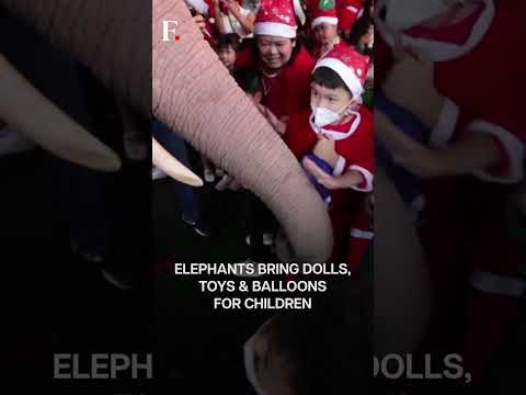 Watch: Elephants Dressed as Santa Bring Gifts for Children in Thailand | Subscribe to Firstpost