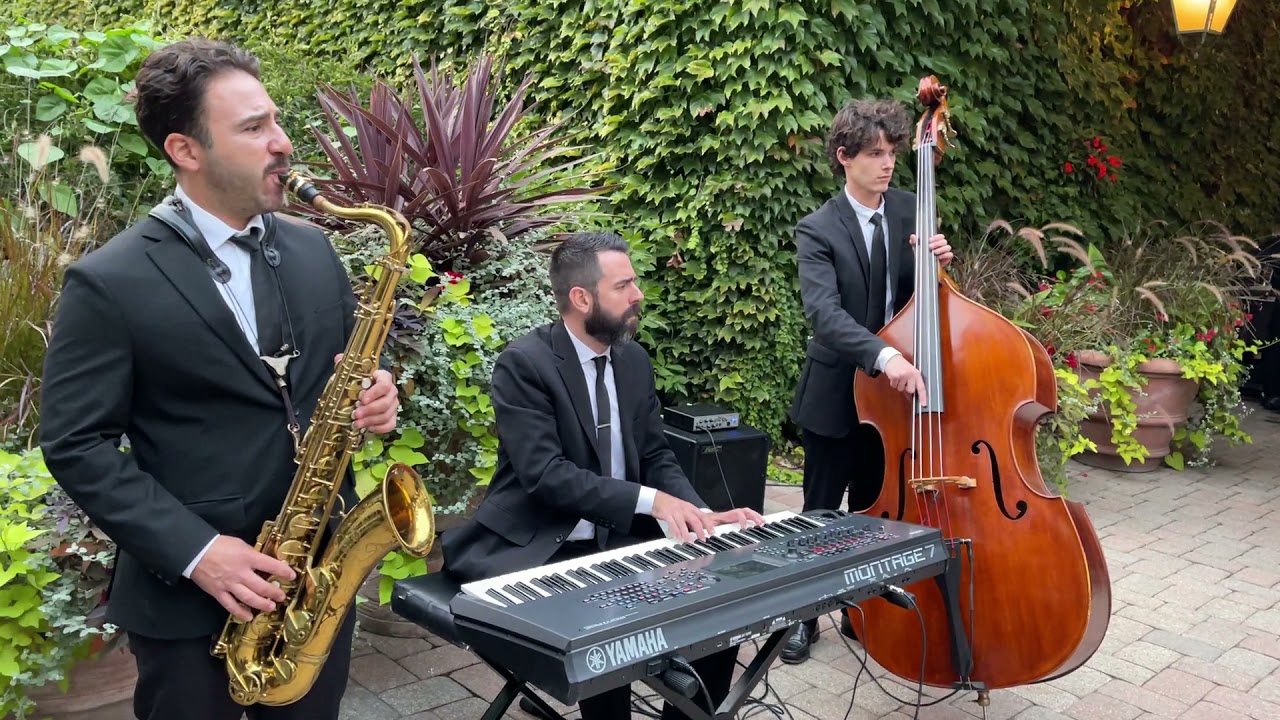 Jazz Trio Cocktail Hour | Chicago Wedding Band | Chicago Wedding Bands | Chicago Wedding